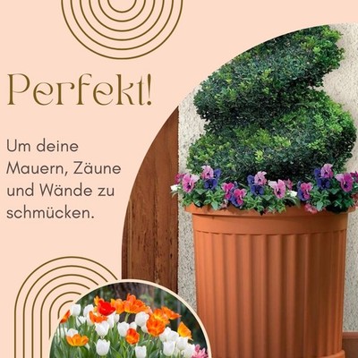 Pflanzkübel Groß Außen Pflanzkübel Halbrund direkt an der Wand Blumenkübel Groß