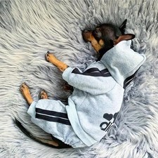 Cozy Warm Dog Jumpsuit for Small Medium Pets  Winter Puppy Outfit Clothes