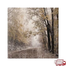 Stretched Canvas Artwork Ready to Hang Landscape Nature Wall Art Home Decor New