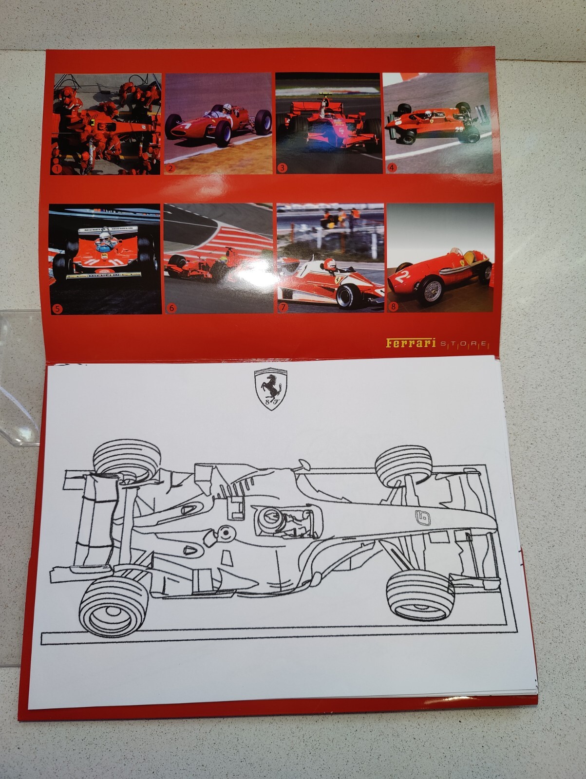 Bild 1 von 12
