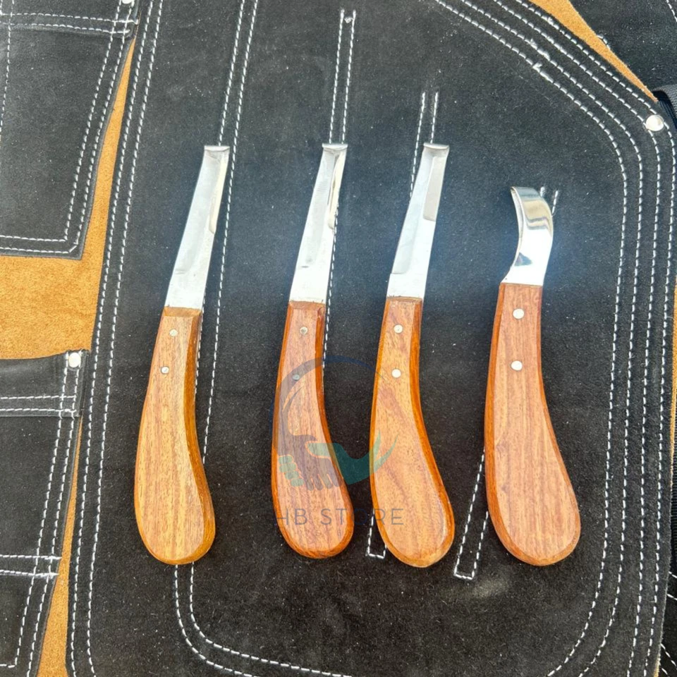 Complete Farrier Tool Kit with Hoof Stand, Leather Tool Bag & Apron - Image 3 of 4