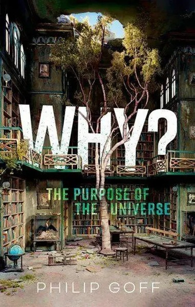 Why? The Purpose Of The Universe Philip Goff Buch Gebunden Englisch 2023-image