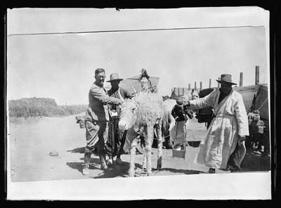 Photo:Harbin China 1919 Funeral Paper Cow Cholera Epidemic Procession