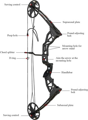 Arc à Poulies (Compound Bow) 30-70lbs Pour Adultes - Longueur