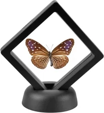 2pcs 3D Showcase Case - Display Crafts, Jewelry & Small Collectibles