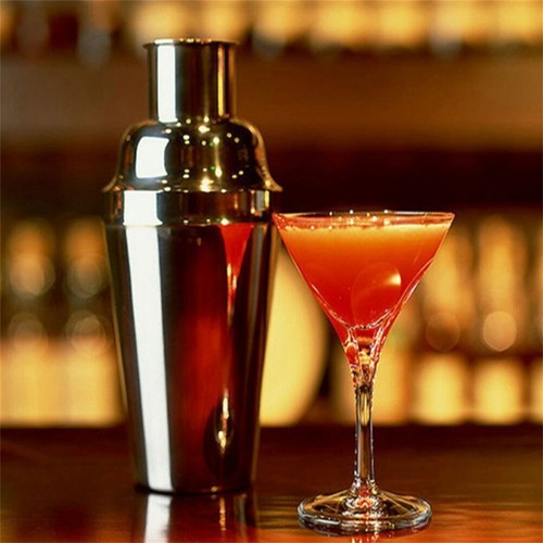 750ml Cocktail Shaker Stainless Steel Drink Shakers Rustproof Martini Mixer Bar - Picture 2 of 11