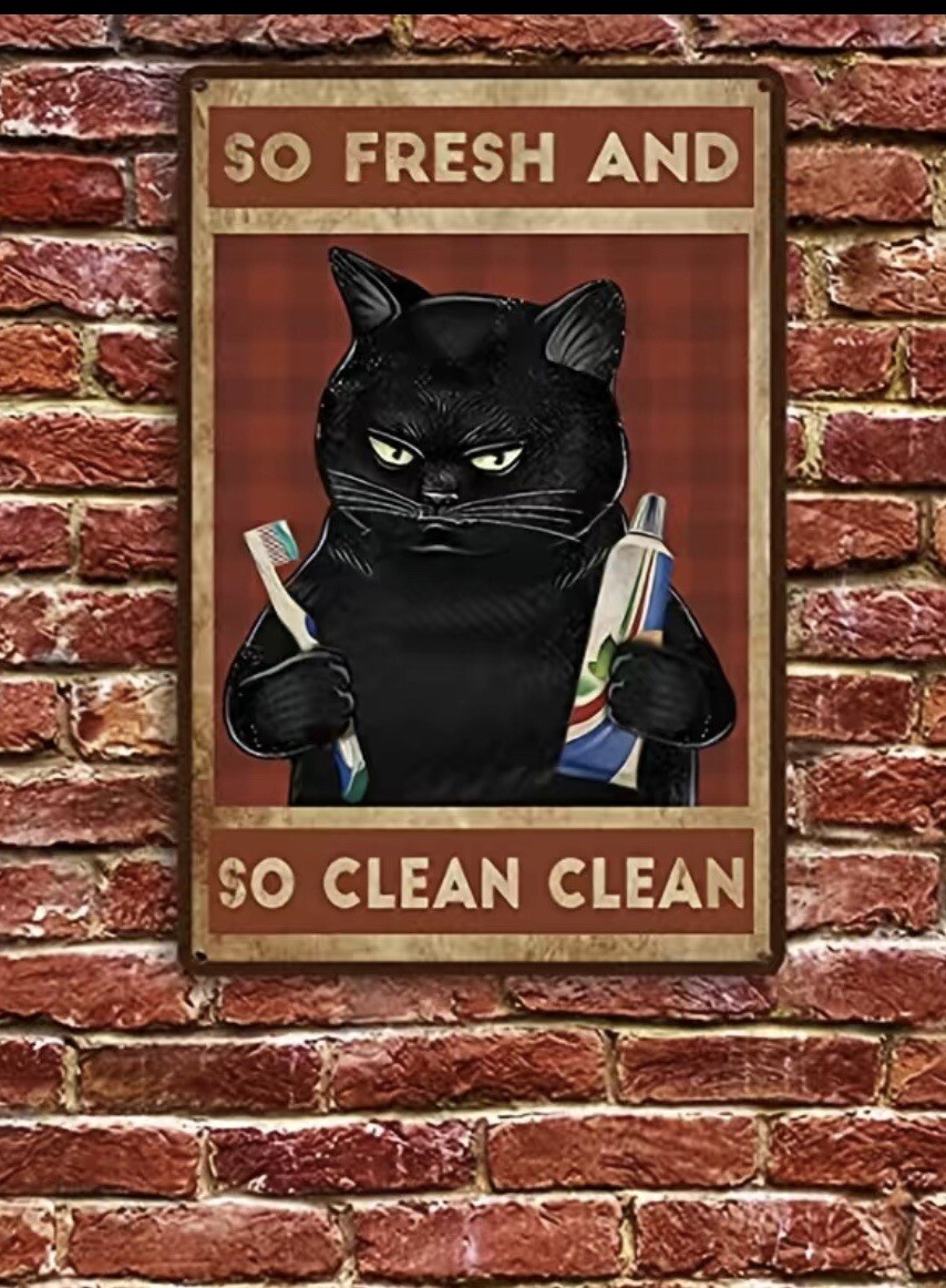 Black Cat &ldquo;so fresh N so clean Clean Clean&rdquo; Strong But Light Aluminum Fun Cute!
