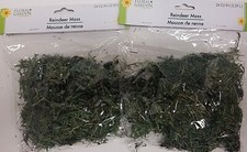 Spanish Moss 2-BAGS Floral Arrangement 24 in. Ground Cover Fairy Garden Plants