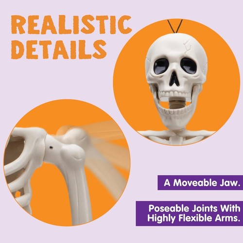 16FT Halloween Skeleton Life Size Posable Realistic Full Body Bone Skeleton Prop - Picture 5 of 8
