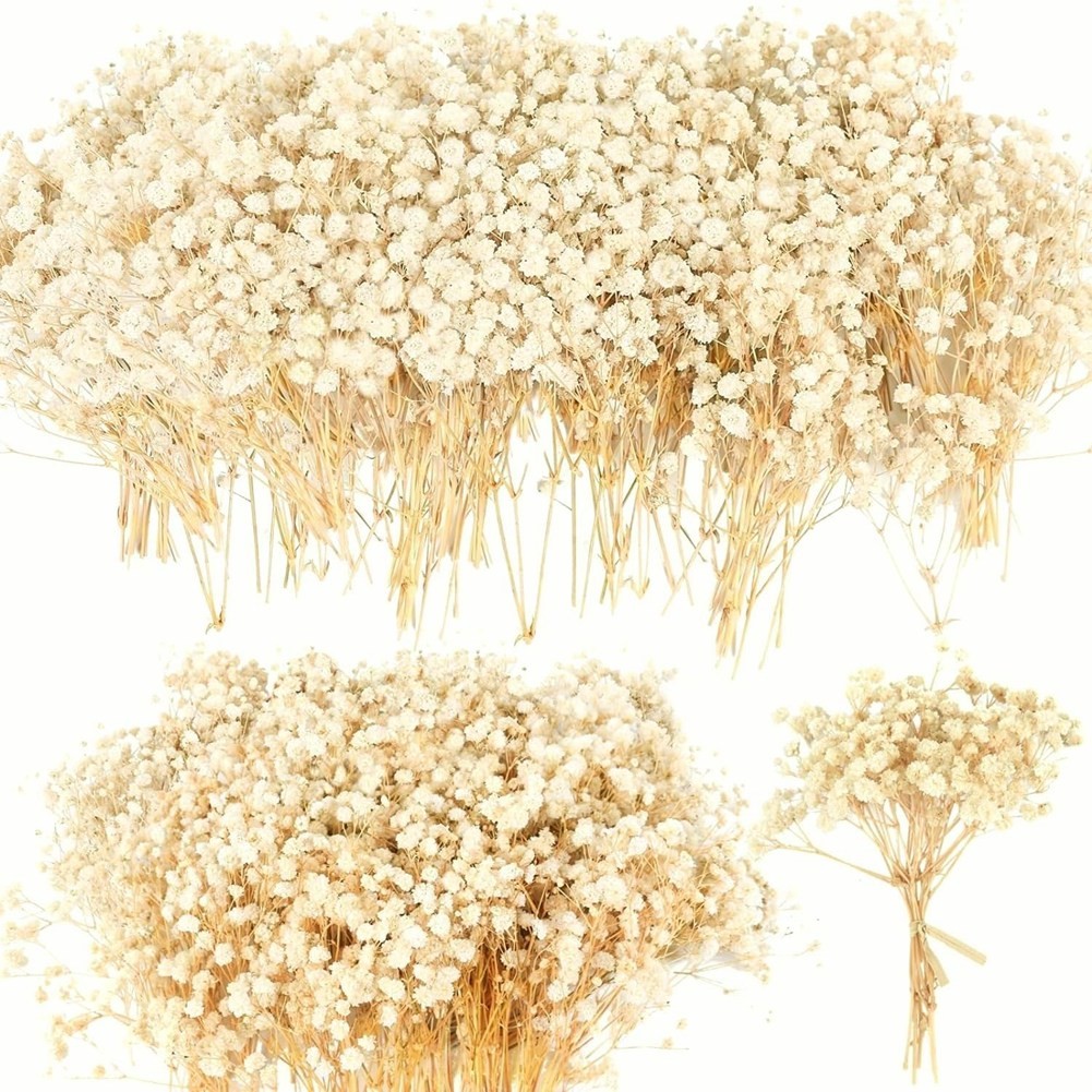 Dried Baby Breath Flowers | 90+ Pcs for Crafts,Wedding Decor Boho P9S99800