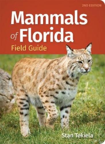 Stan Tekiela Mammals of Florida Field Guide (Tascabile)