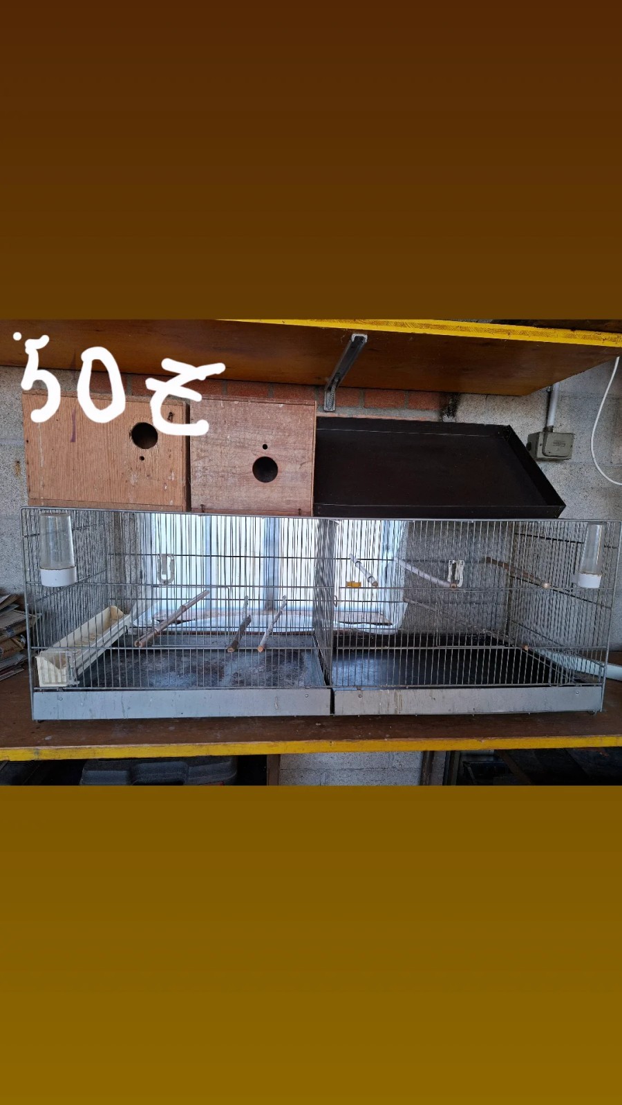 Gabbia volatili grande metallo bianco con tetto e nidi in legno