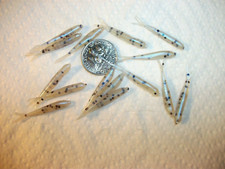 100-1 1/8"-CRAPPIE-PANFISH-SOFT MINNOW GRUBS-jigs-lures-split tails-flukes-scent
