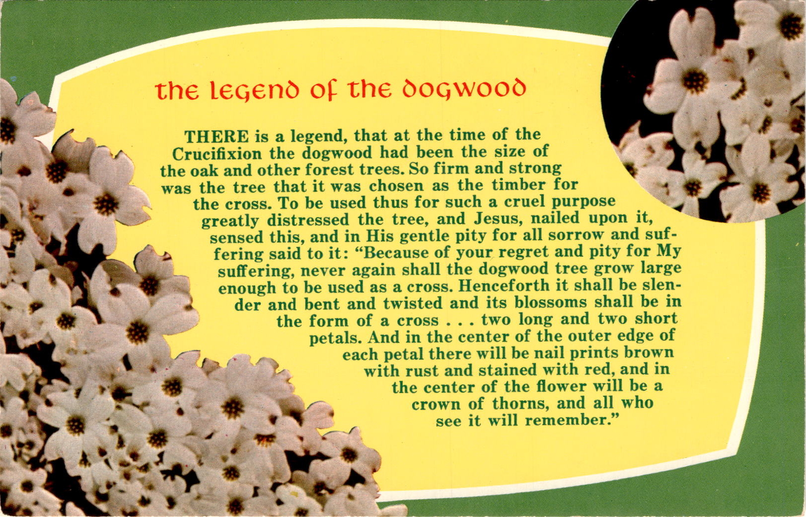 Dogwood and Oak Forest Trees with Jesus Cross Crucifixion Richmond Postcard