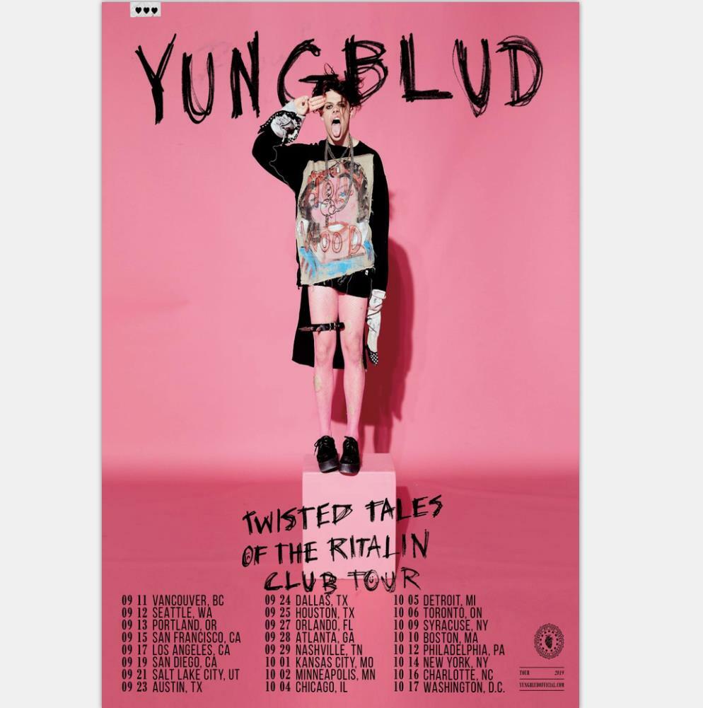 X524 Yungblud Concert 21st Century Liability Fabric Poster Art 40