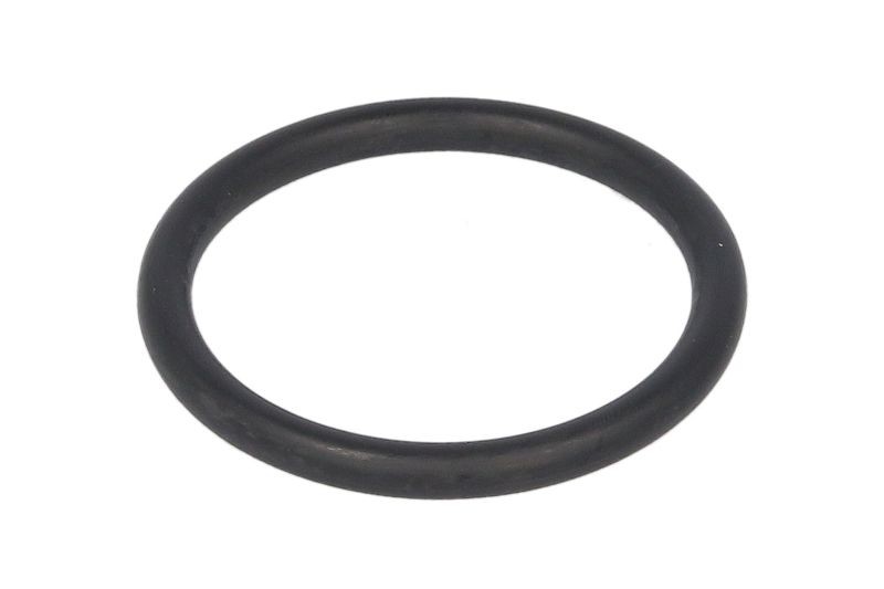Fits EURORICAMBI 74171434 Gasket, differential 74171434 Differential  ⭐UK Stock⭐