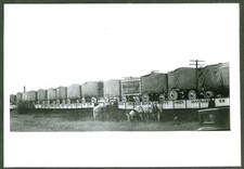 Bear Wagon & more flat car Cole Bros Circus Train 1937