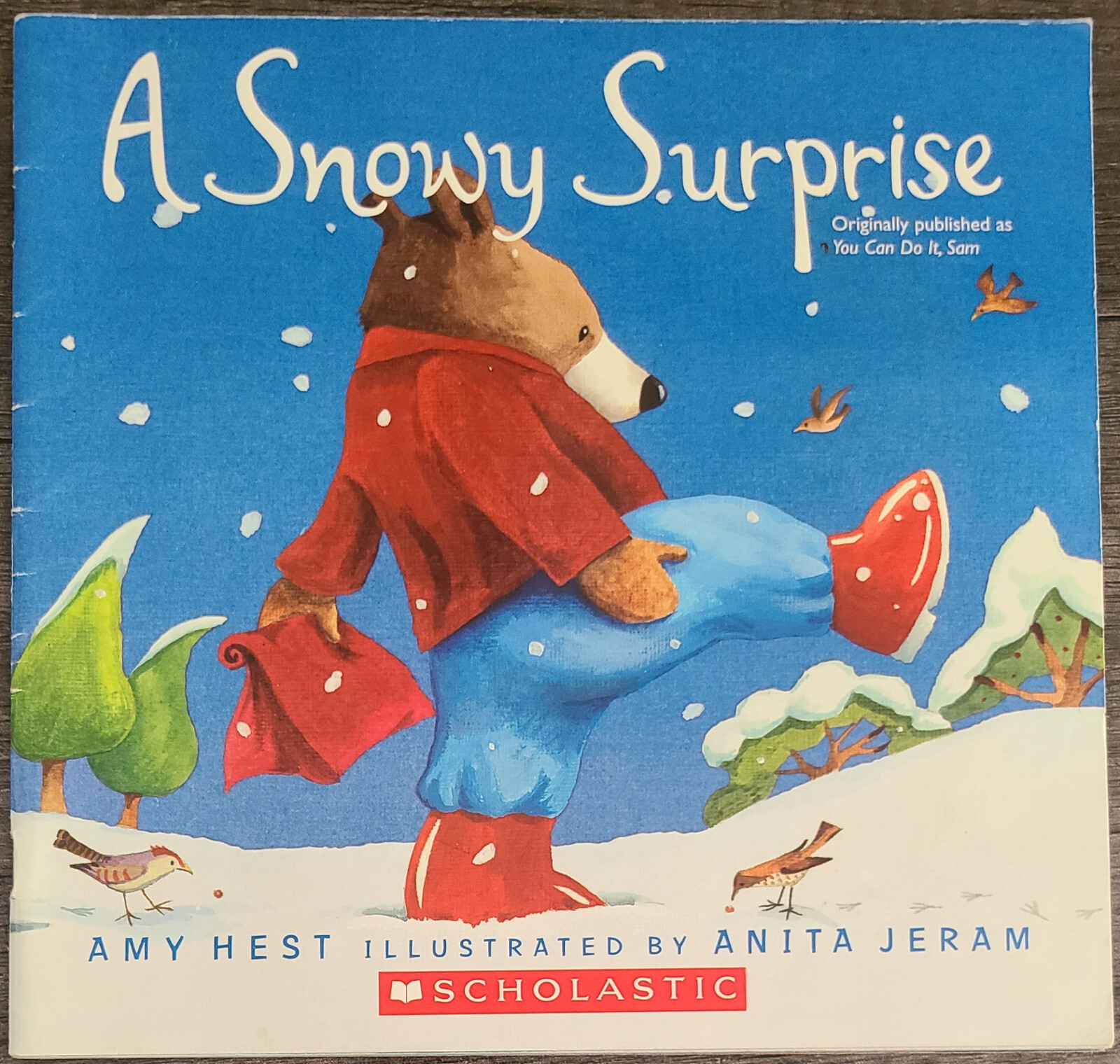 A SNOWY SURPRISE You Can Do It, Sam by Amy