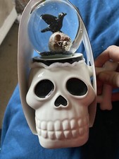 Tk maxx skull mug and snow globe topper 