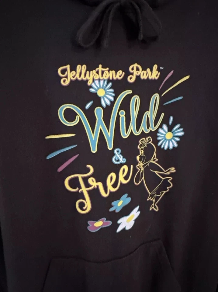 Sudadera negra vintage con capucha L marca Yogi Bear Jellystone Park Camp Resort Foto 2 de 4