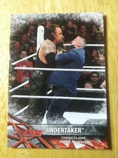 Undertaker Chokeslams Shane McMahon | 2017 Topps WWE Road to Wrestlemania #44