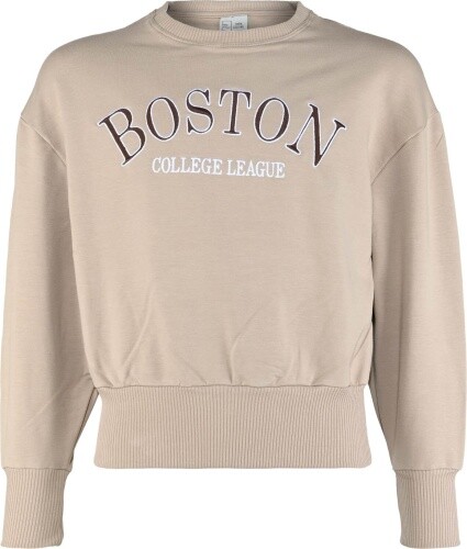 LäSsiger Sweater In Beige Mit Frontstick, Oversize Aus Bio Bw Von Blue Effect-image