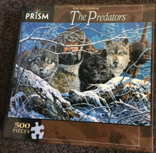 Prism Kids 12-16 Years Puzzles