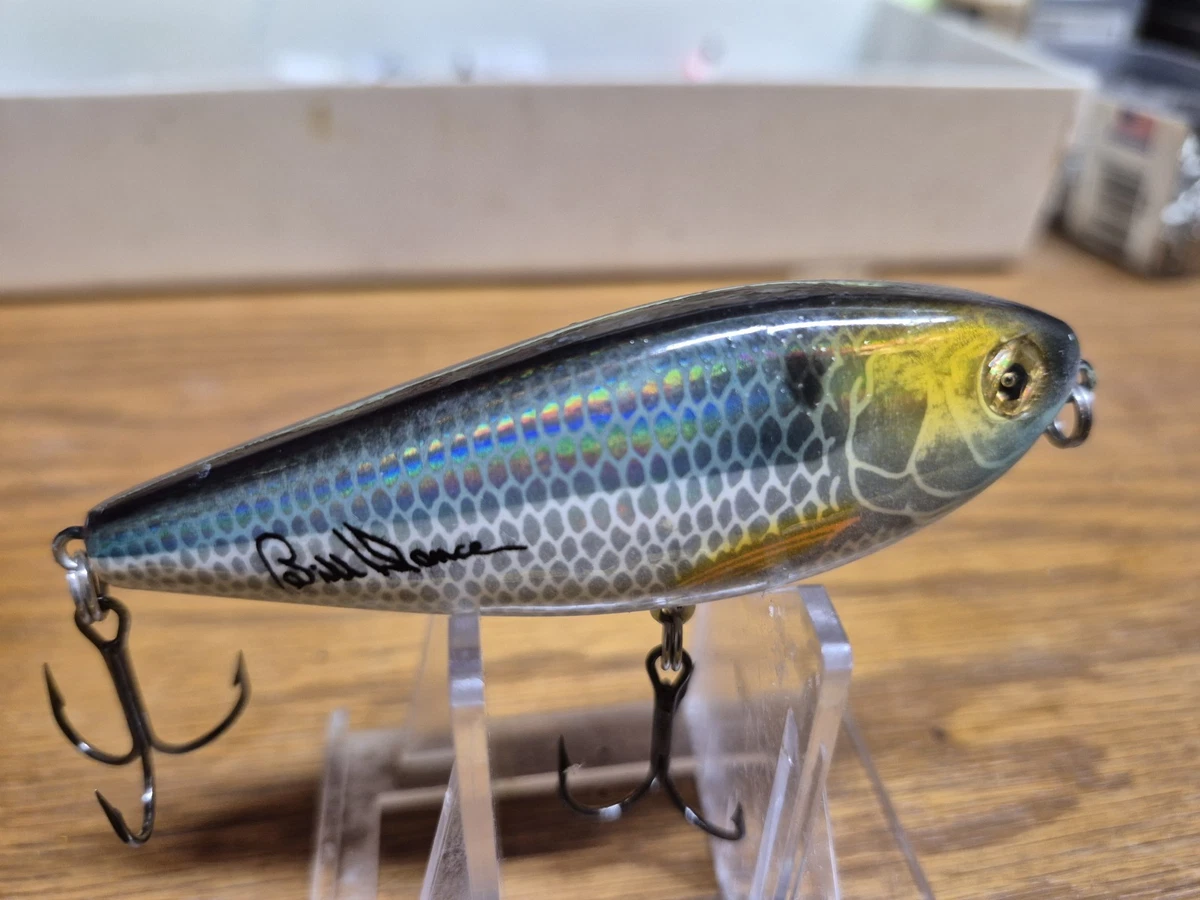 Leurre de pêche Excalibur Bill Dance Spit N Image | eBay