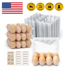 100 Packs Egg Cartons Cheap Bulk Plastic for 12 Eggs Clear Egg Cartons