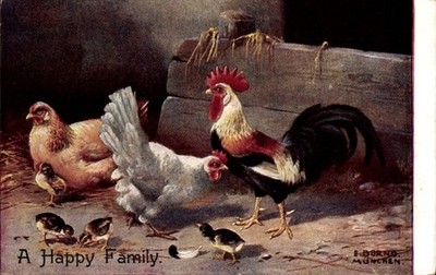 Artist Postcard Dorno, E., Rooster, Two Chickens and Chicks - 4495635