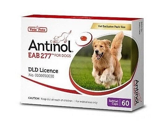 Antinol for sale dogs 60