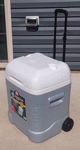 igloo maxcold cube