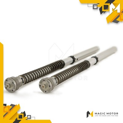 Ohlins Vorne Motorrad-Gabelkartuschen Federn ausgeschlossen für Kawasaki FGK 206