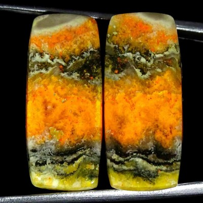 24,50 Cts Natürlicher Bumble Bee Jasper Paar Kissen Cabochon Lose Edelstein