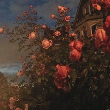 John Bence - Love 'Blood Orange' Coloured Vinyl LP