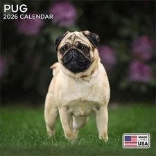 Pug Calendar 2026 - Dog Breed Wall Calendar - Made in the USA!