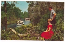 Post Card Weeki Wachee River Florida