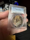 1885 O Morgan silver dollar PCGS MS64 Gold And Monster Rainbow Toned Beauty!😻