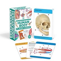 Dk - Our World In Pictures Human Body Flash Cards - Cards - H245Z