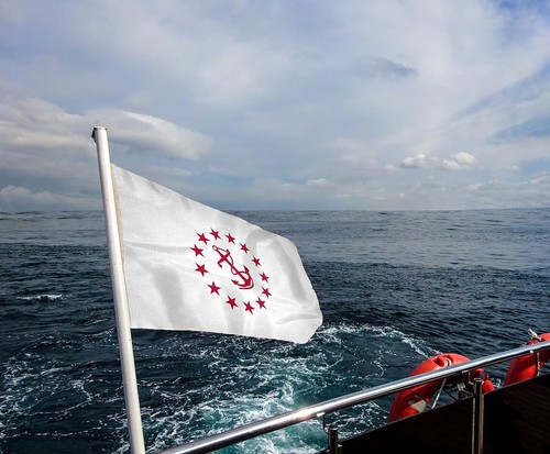 AGAS Rear Commodore Officers Flag Outdoor-Indoor Flag-12"x18"- 200D Nylon Yacht - Picture 6 of 7