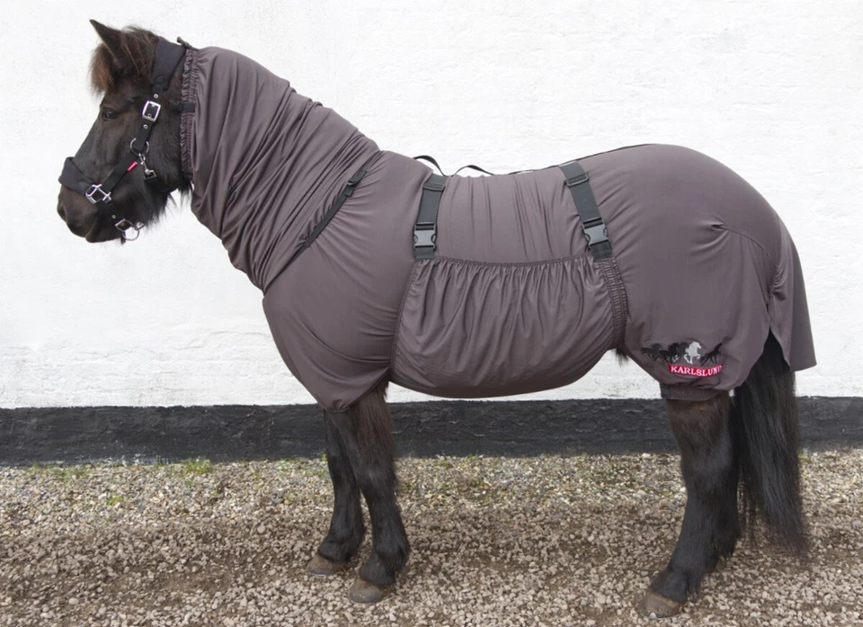 Ekzemdecke flexibel Fliegendecke für Islandpferde Fliegenschutzdecke Isländer - Bild 2 von 4