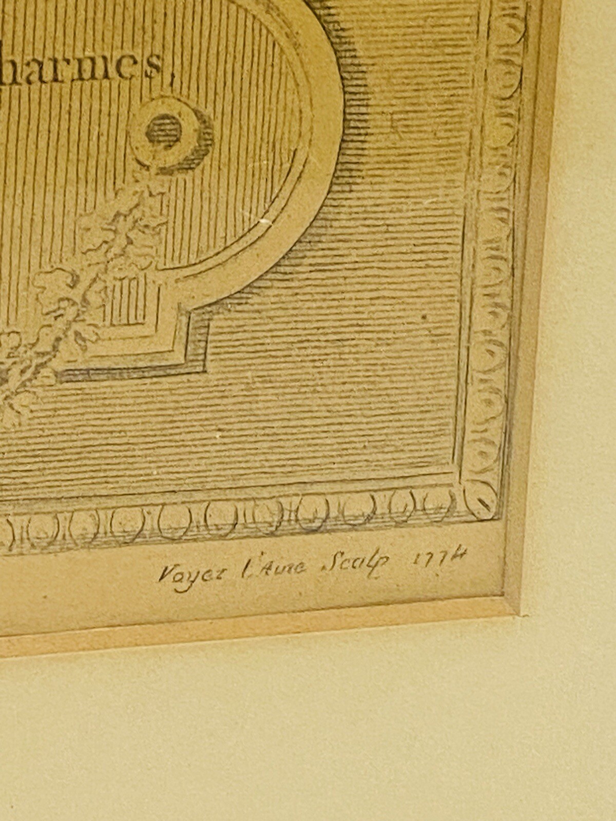 Picture 8 of 14