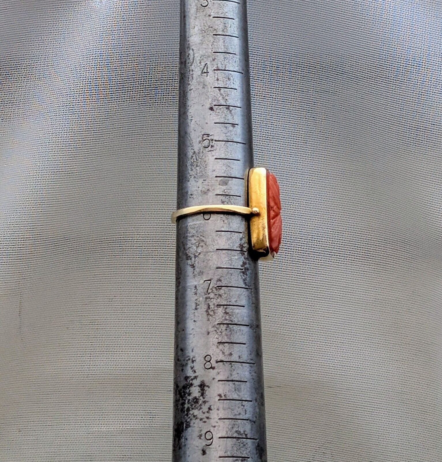 Picture 10 of 10