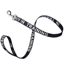 Reflective "IN TRAINING" Leash W 1" x L 48" - Black