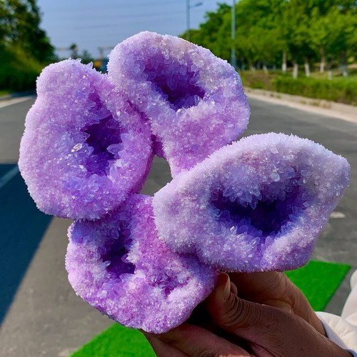 3.7LB New Find pink-purple chrysanthemum Quartz Crystal Cluster Mineral Specimen - 第 5/22 張圖片