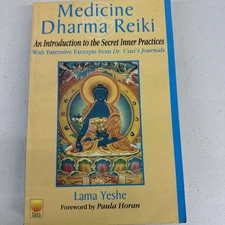 Medicine, Dharma, Reiki: An Introduction to the Secret Inner Practices with Ext,