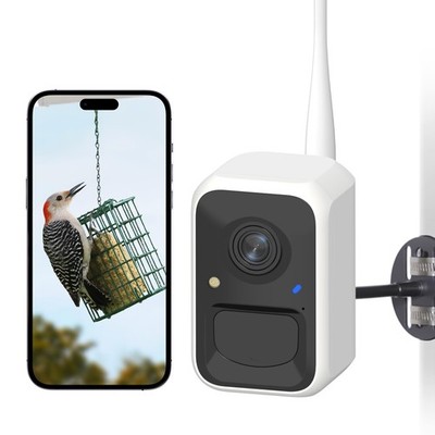 by Birdfy Smart Bird Feeder Camera, Adjustable Brackets, Auto Bird Video Capt...