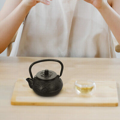 mini kungfu tea pot thermal Teapot with Infuser mini kungfu tea pot  Farmhouse