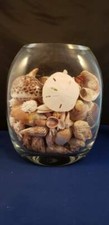 Natural Sea Shell Thick Glass Vase Jar 7x4x8.25"