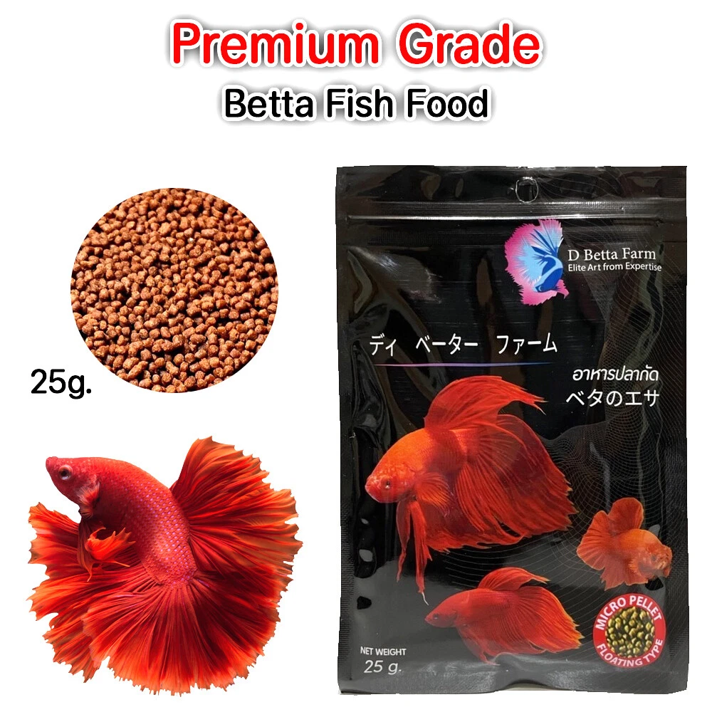Betta fish best sale food